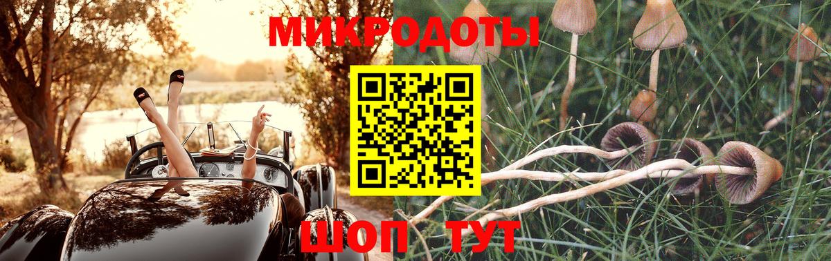 Псилоцибиновые грибы Psilocybe Кунгур