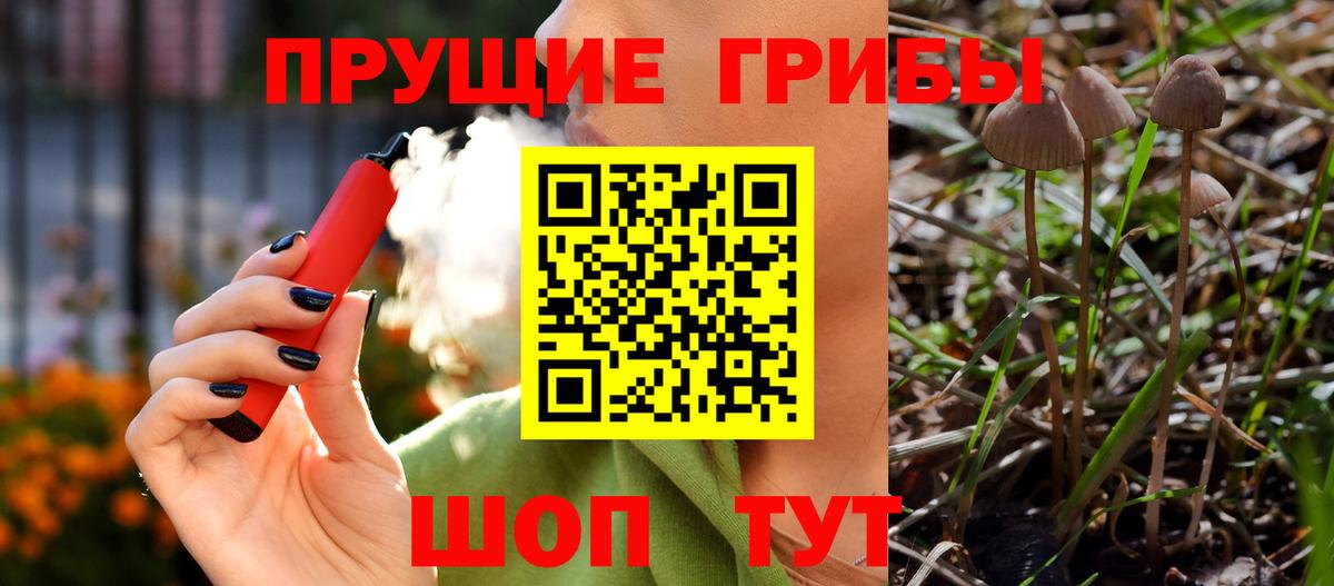 Кунгур  Галлюциногенные грибы ЛСД  Вход с VPN 